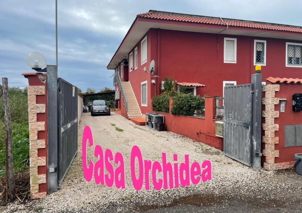 דירות פיומיצ'ינו Casa Orchidea מראה חיצוני תמונה