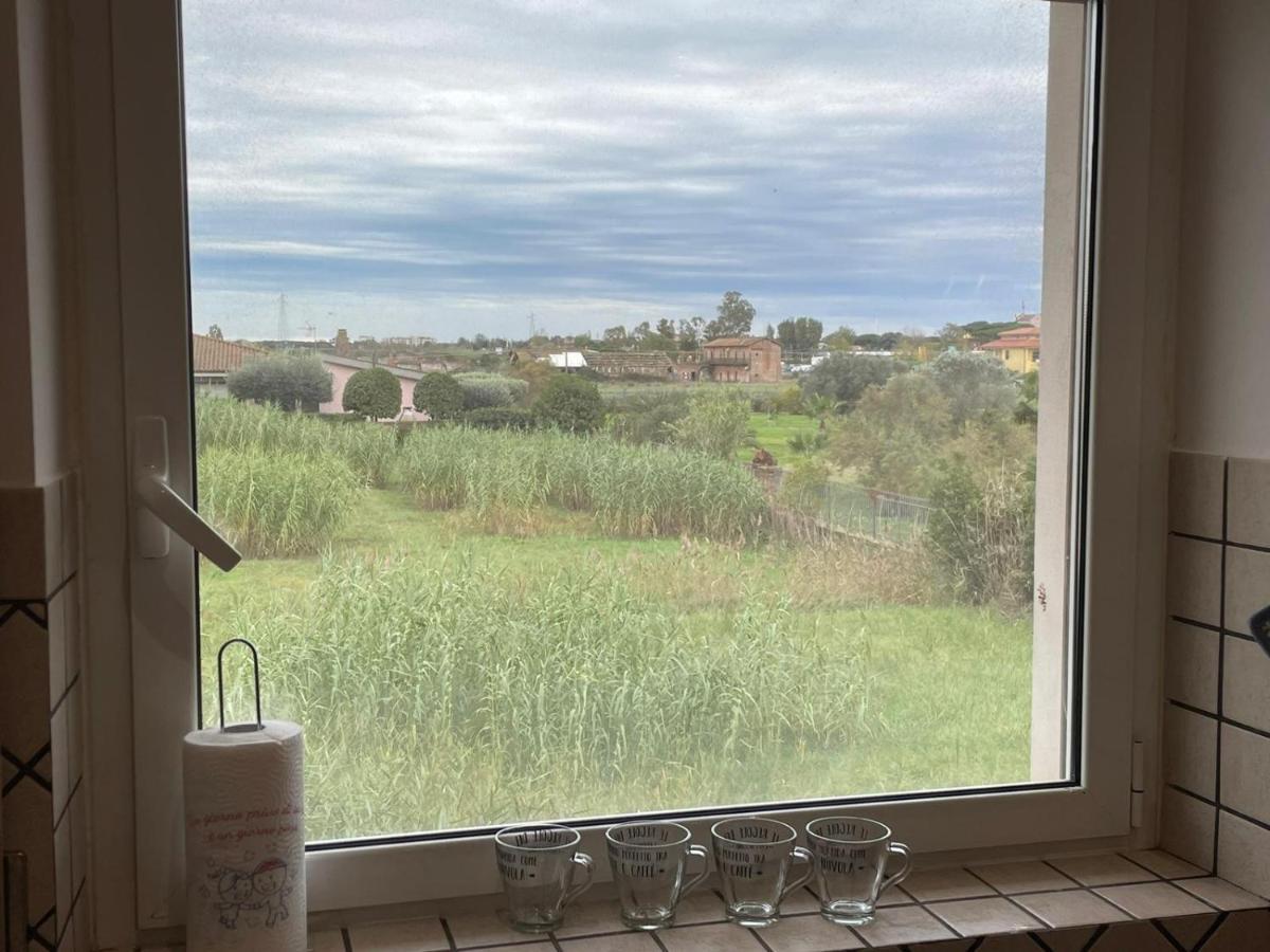 דירות פיומיצ'ינו Casa Orchidea מראה חיצוני תמונה